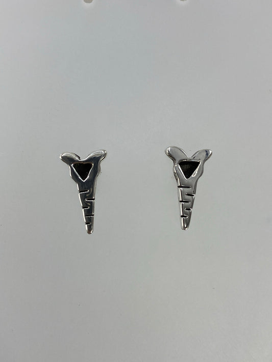 Vista frontal de los aretes de plata 925 con Quinto sellado