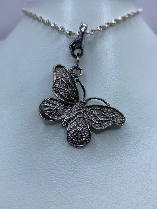 Detalle de la mariposa de plata mostrando la textura de las alas