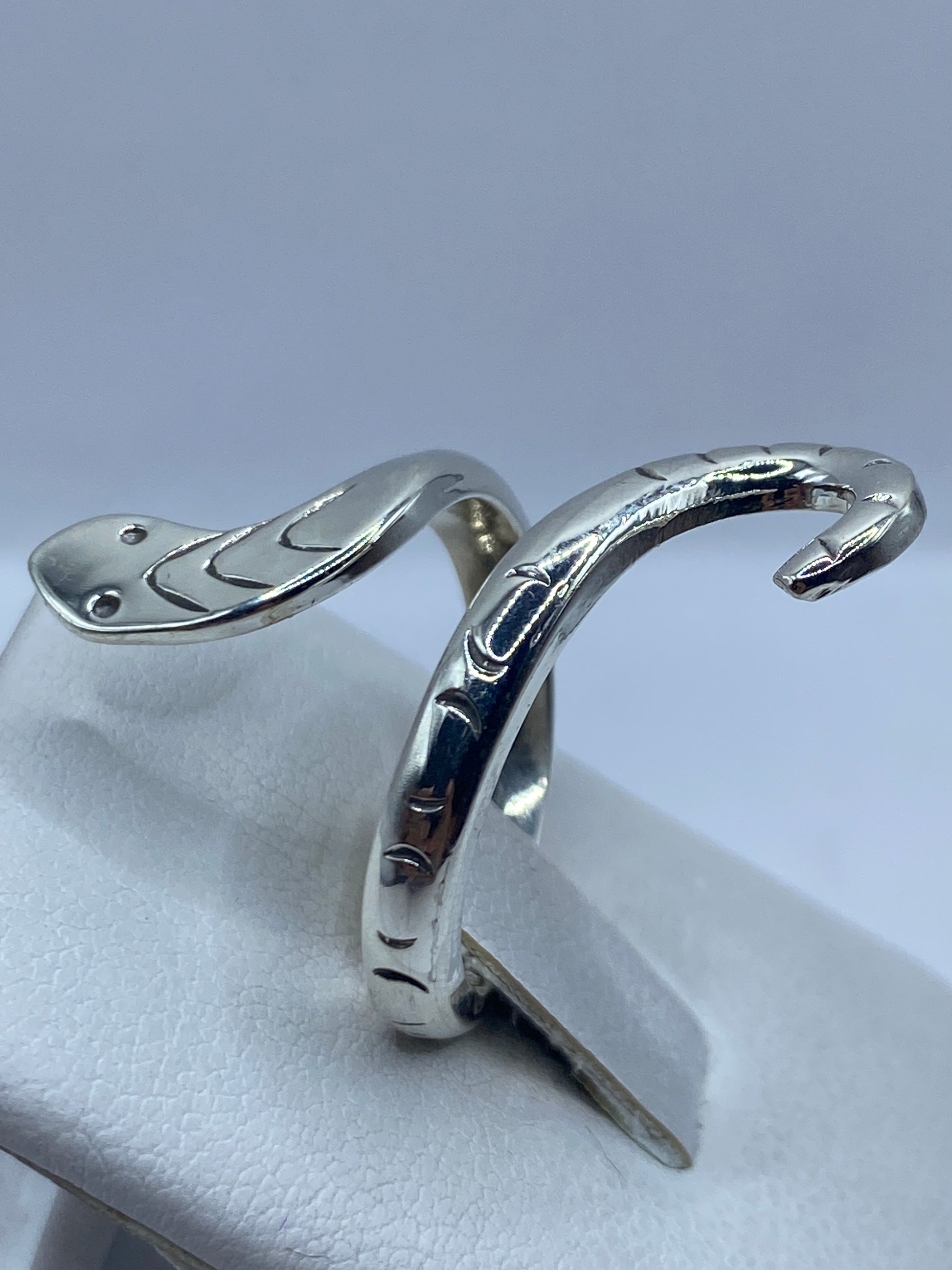 Vista frontal de la cabeza de serpiente con ojos marcados, detalles en relieve