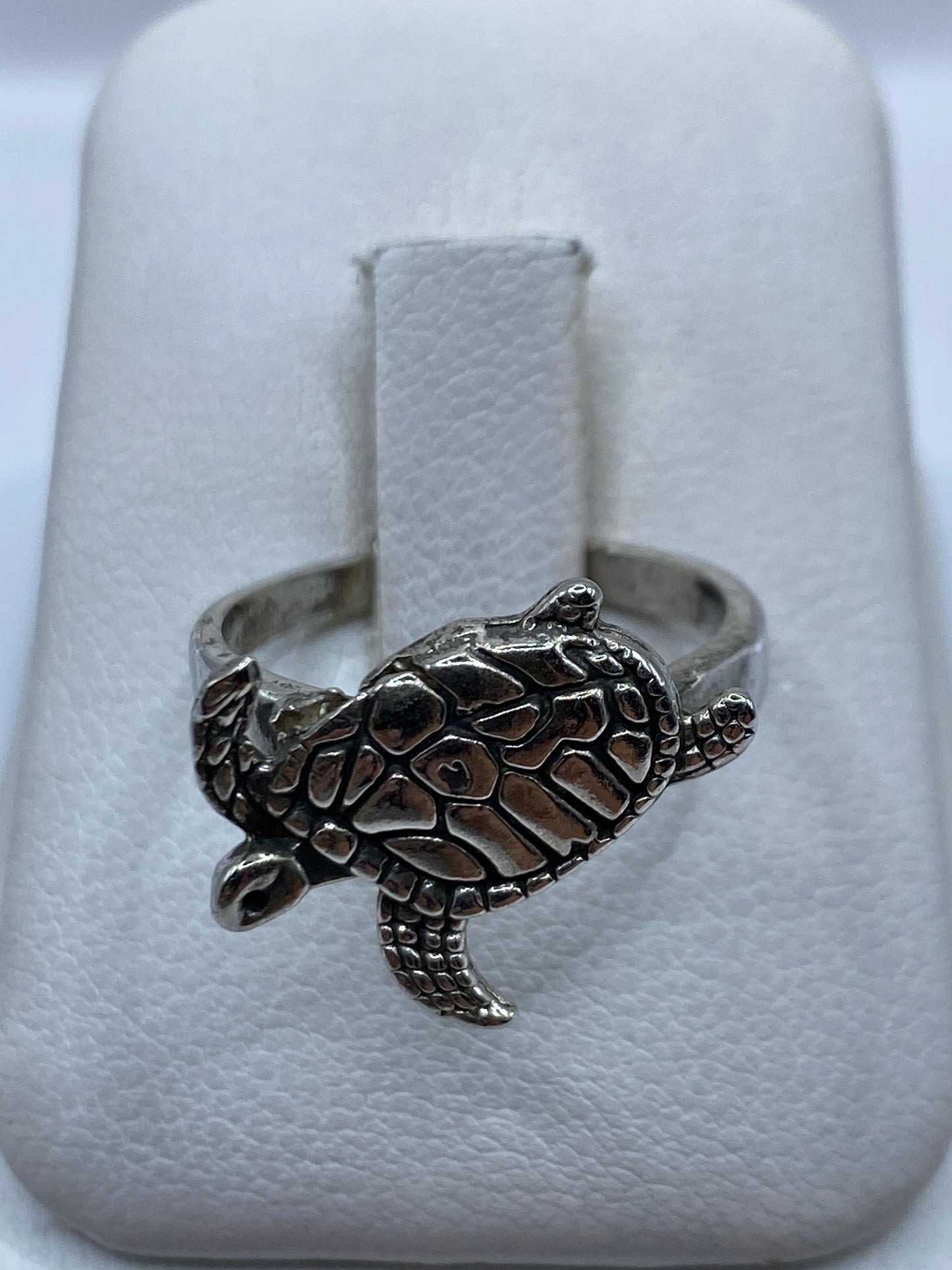 Anillo de plata .925 con diseño de tortuga marina en relieve, presentado en estuche blanco