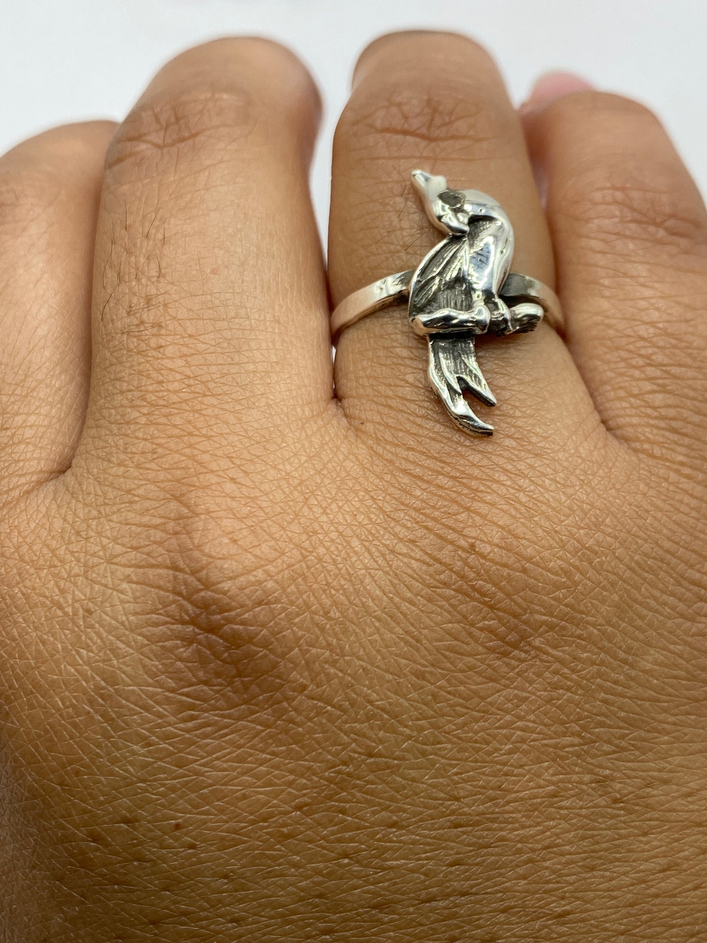Perfil lateral del anillo pájaro sobre fondo blanco
