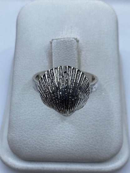 Anillo de plata .925 con diseño de concha en relieve sobre su estuche