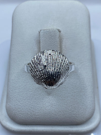 Anillo de plata .925 con diseño de concha marina en relieve sobre estuche blanco