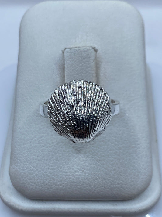 Anillo de plata .925 con diseño de concha marina en relieve sobre estuche blanco