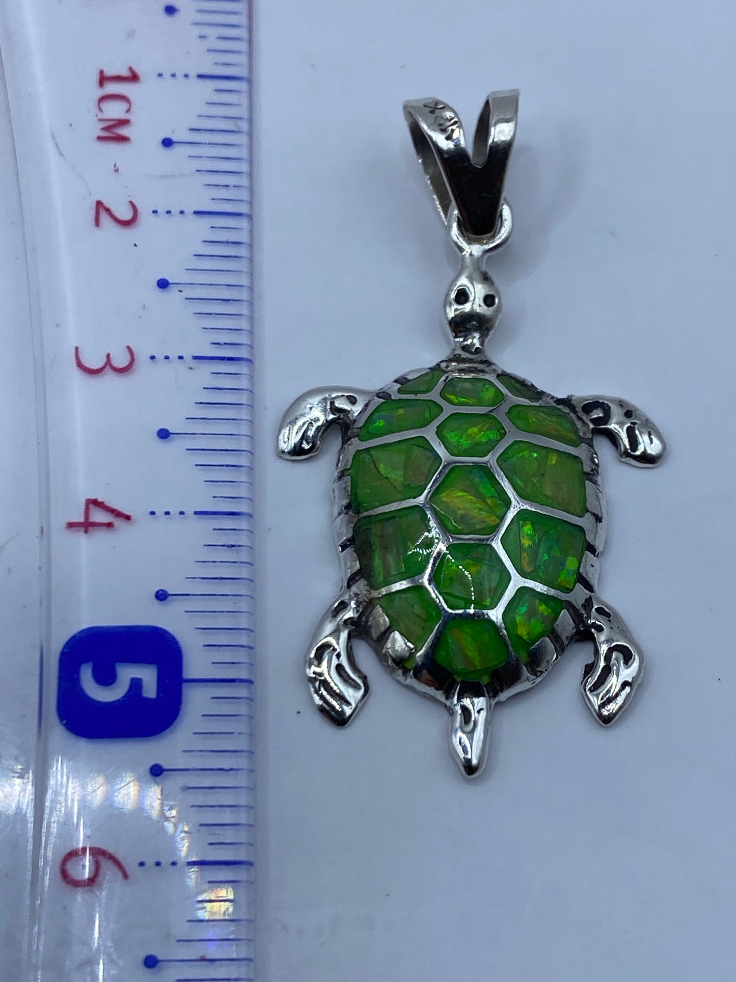 Dije de tortuga sobre fondo blanco con regla mostrando 5.3 cm de largo total