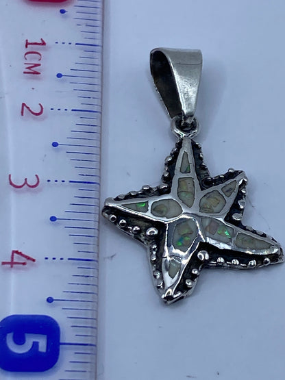 Reverso de la estrella marina mostrando acabado pulido y detalles oxidados de la plata .950