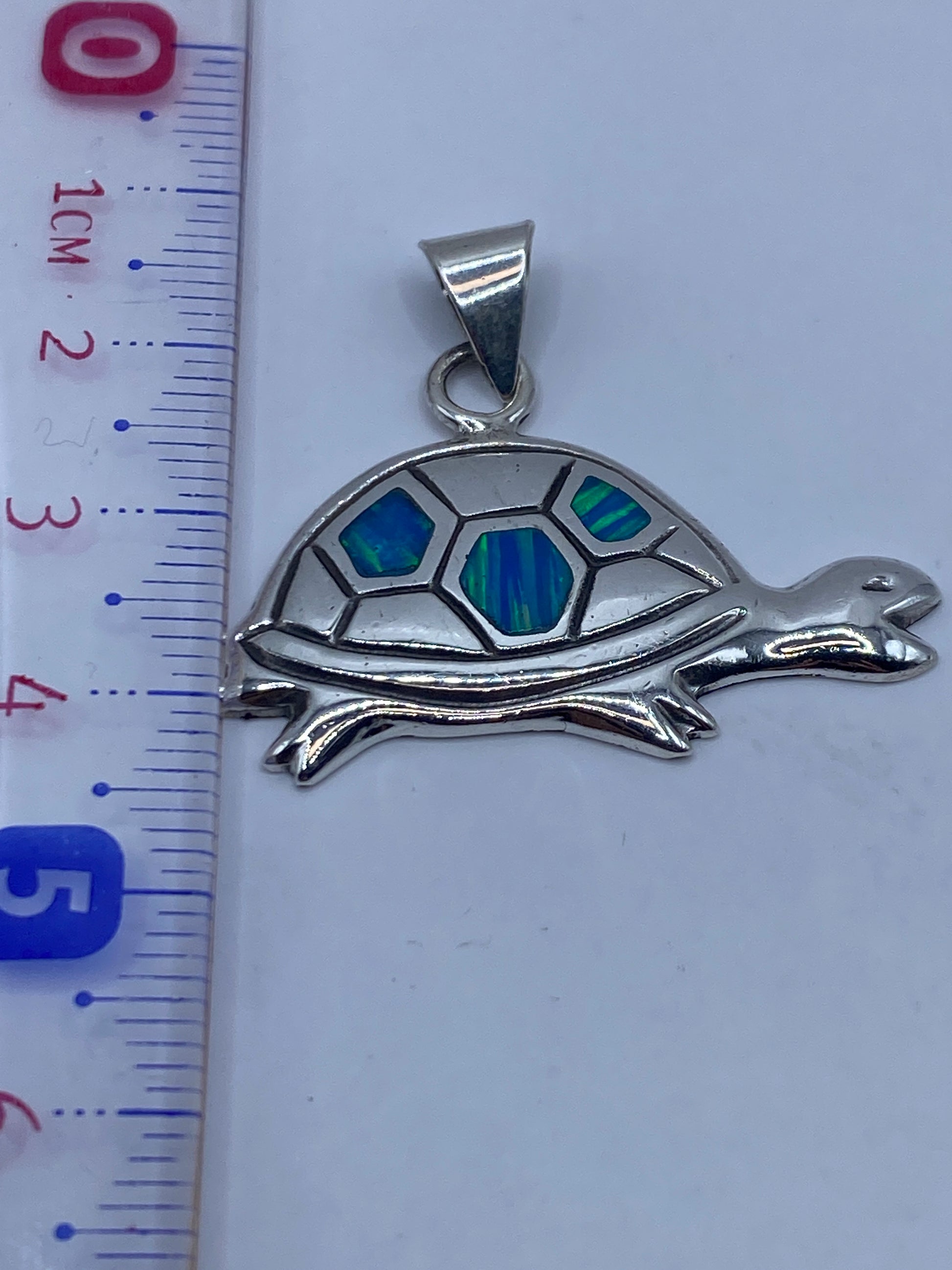 Reverso del dije de tortuga mostrando el Quinto .925 grabado en la plata