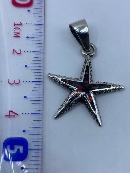 Detalle del Quinto .950 en la estrella de mar de Taxco