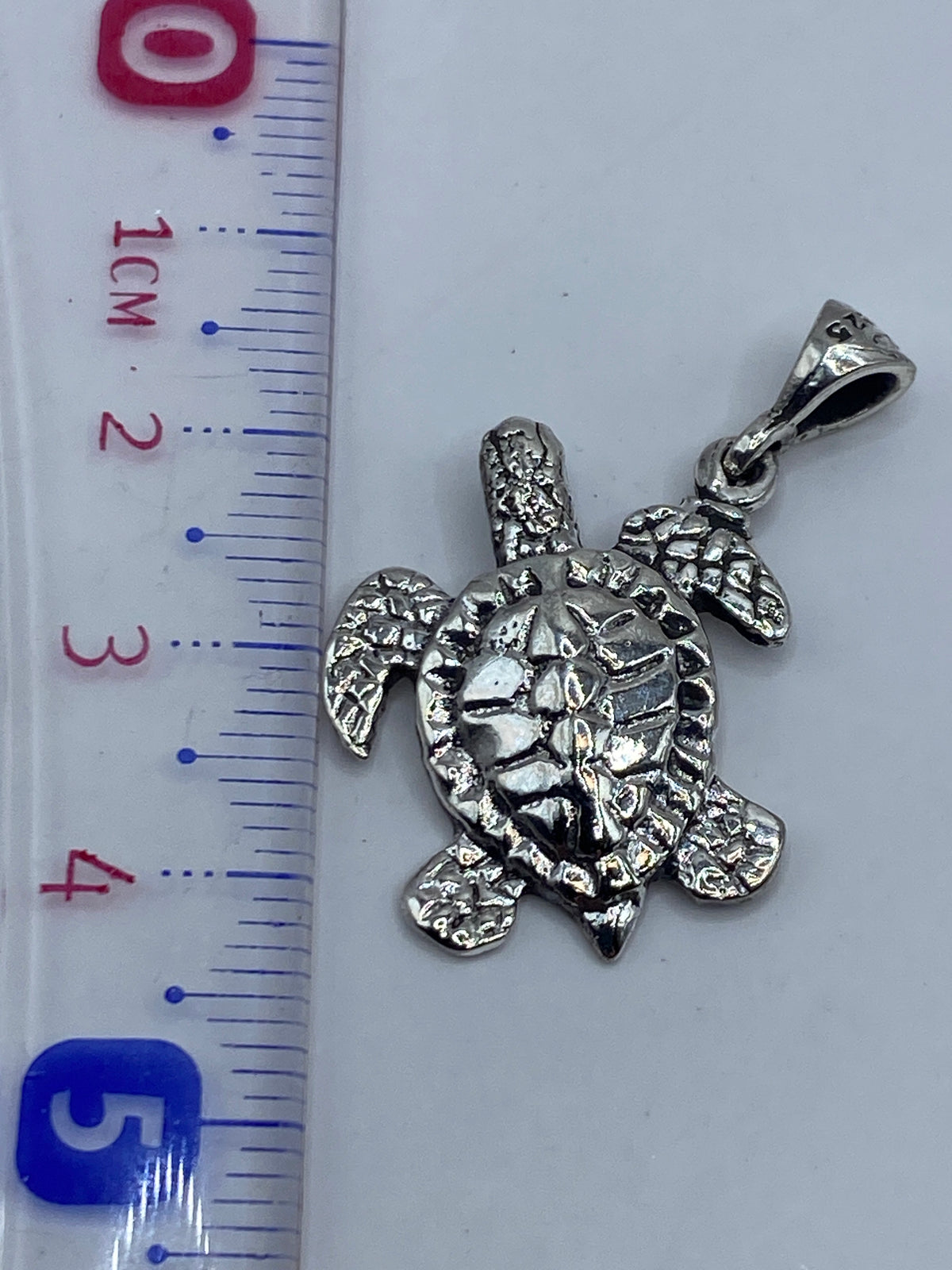 Medida de la tortuguita marina: 4.2 cm de largo con la balanza en gramos