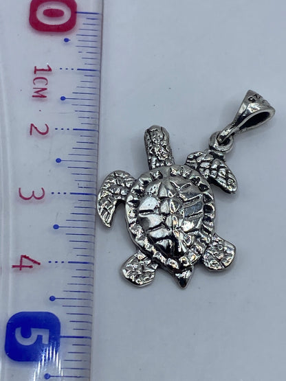 Medida de la tortuguita marina: 4.2 cm de largo con la balanza en gramos