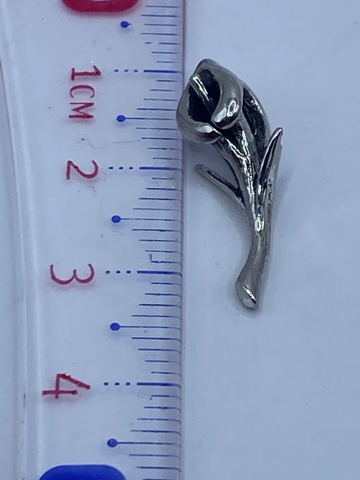 Dije de plata sin cadena junto a regla — Largo 3.2 cm, peso 1.6 g