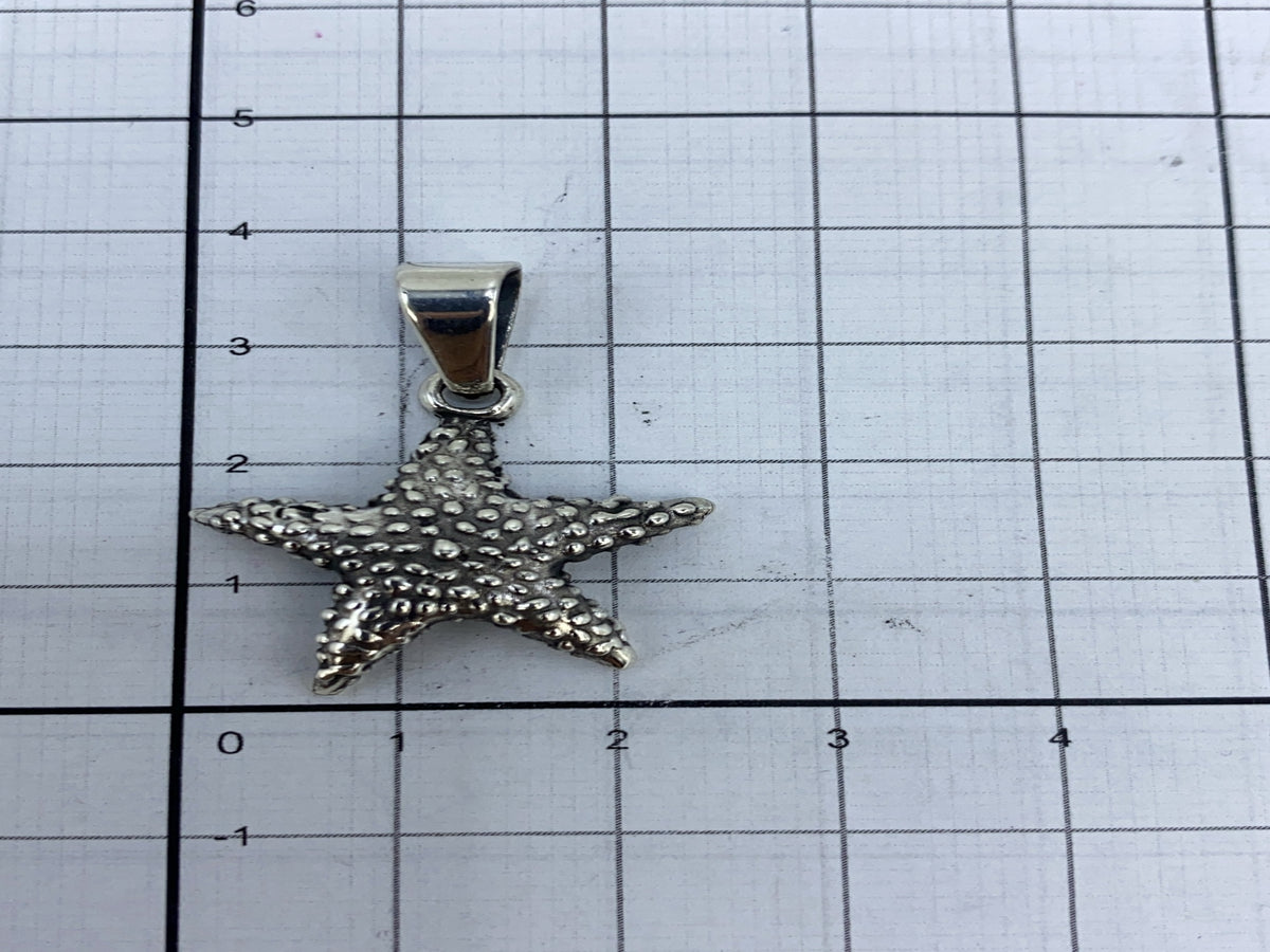 Estrella de mar de plata granulado con brillo natural, lista para tu cadena