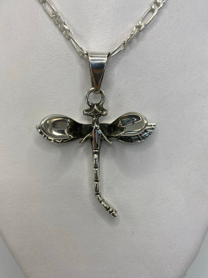 Detalle de la libélula mostrando las alas con patrón de nervaduras y el cuerpo sólido