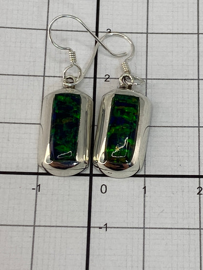 Aretes sobre fondo blanco — gancho de plata pulida