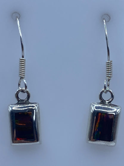Aretes en escala de centímetros mostrando el largo de 2.9 cm