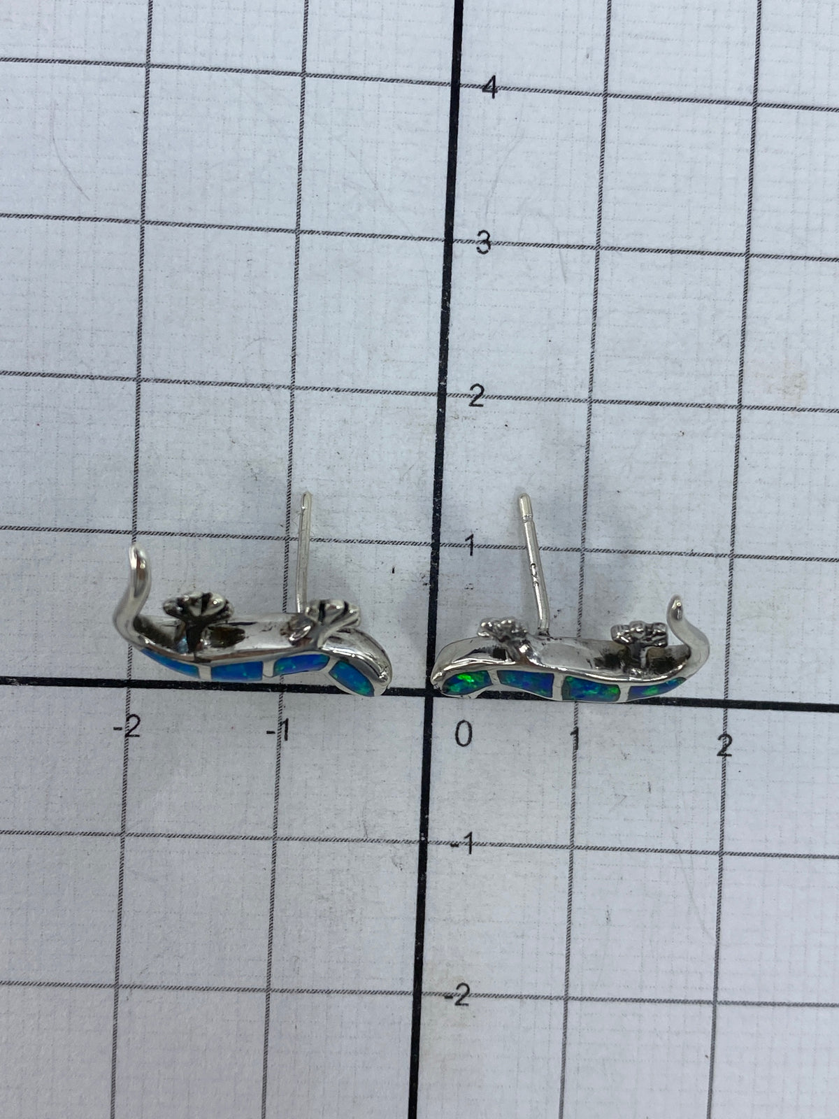 Aretes visto de lado con escala de medición centimétrica