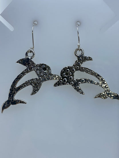 Aretes de tiburón granulado en escala de centímetros, mostrando 5 cm de largo