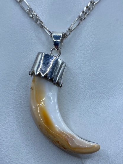 Dije de plata con colmillo natural de concha de caracol, engastado en plata 925 de Taxco