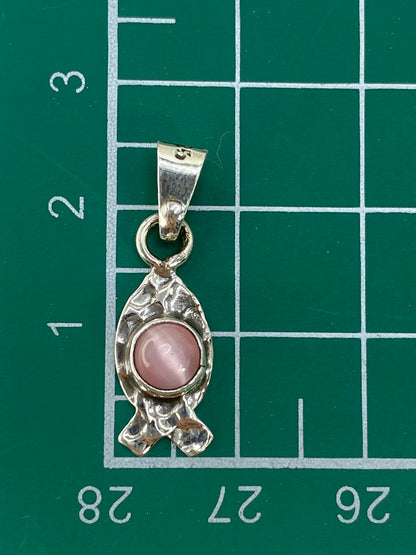 Dije de 2.5 cm sobre regla para escala de tamaño