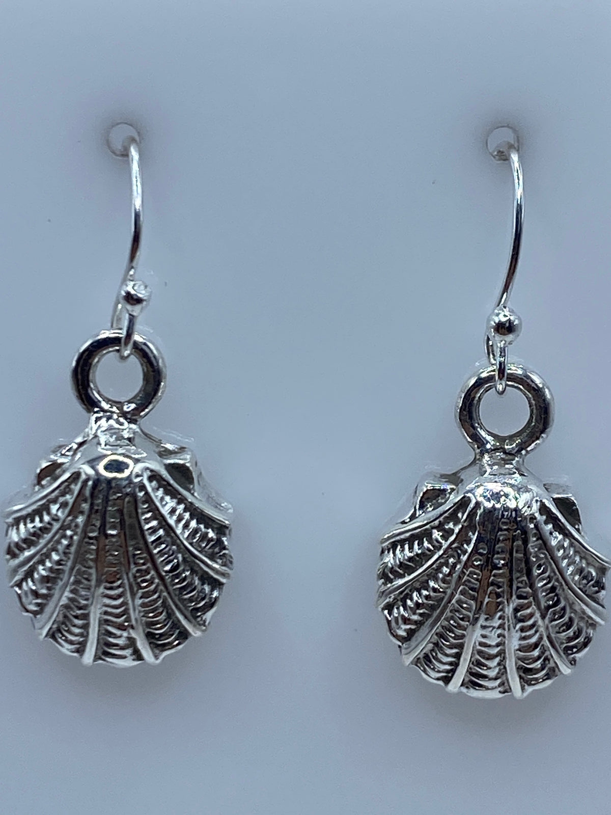 Aretes de concha marina sobre regla de medidas mostrando largo de 3.1 cm
